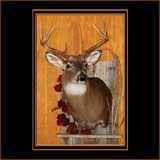 Deer on Barnwood With Fall Leaves